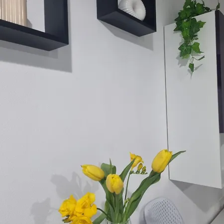 Apartment Creative *