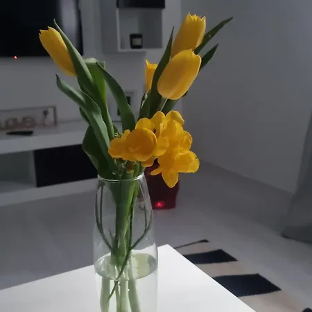 Creative *