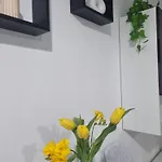 Apartment Creative *