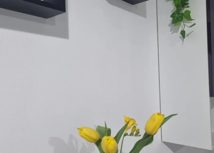 アパート Creative *